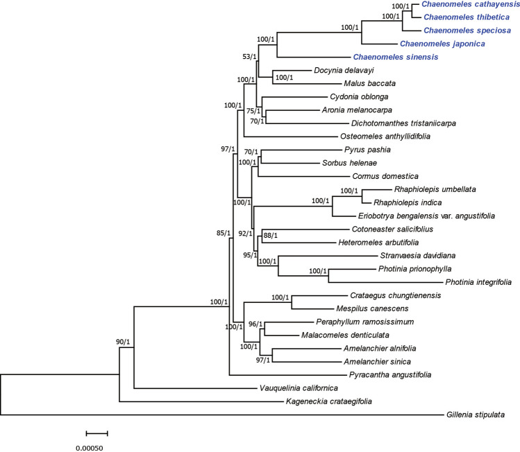 Figure 6