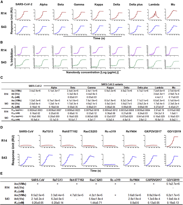 Figure 3