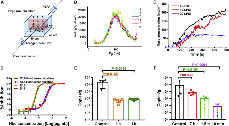 Figure 2