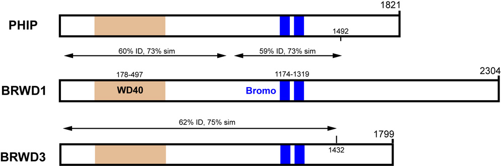 FIG. 6