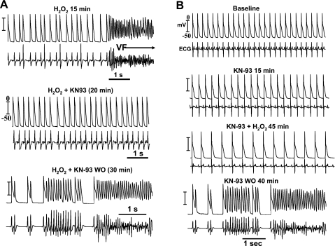 Fig. 8.