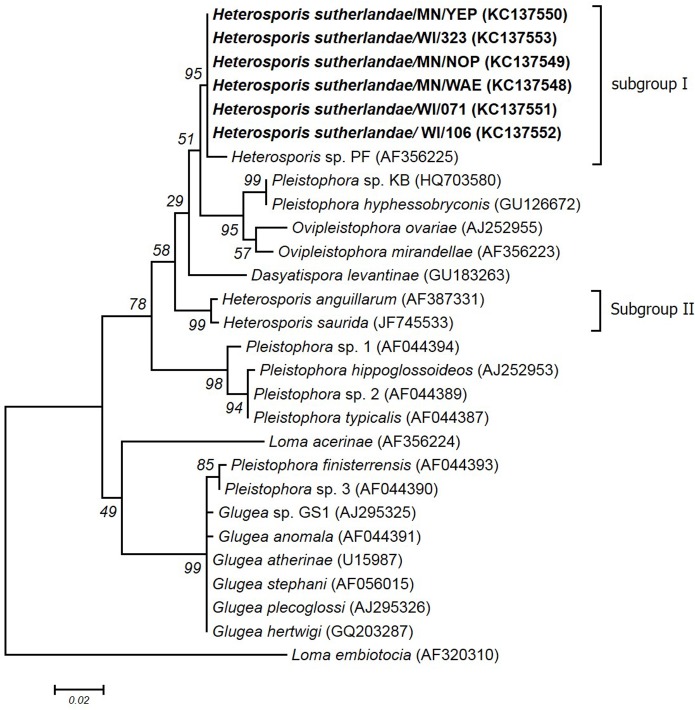 Fig 6