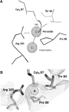 <b>FIG. 1.</b>