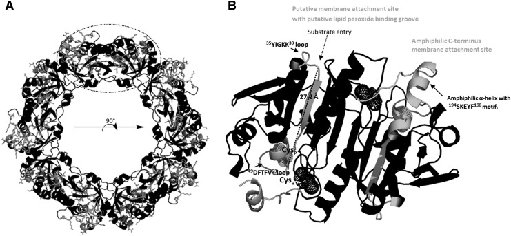 FIG. 6.