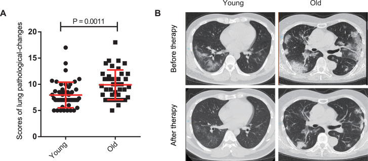 Fig. 2