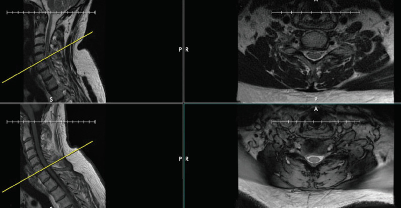 Fig. 5.