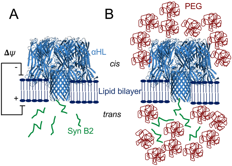 Figure 1: