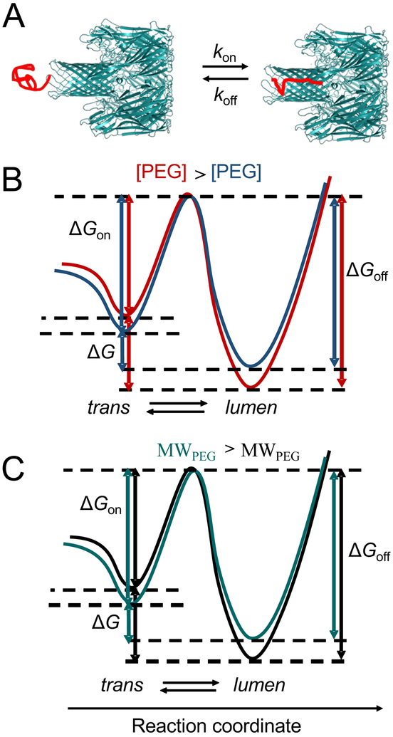 Figure 6: