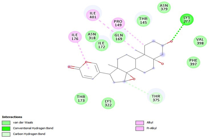 Figure 2.