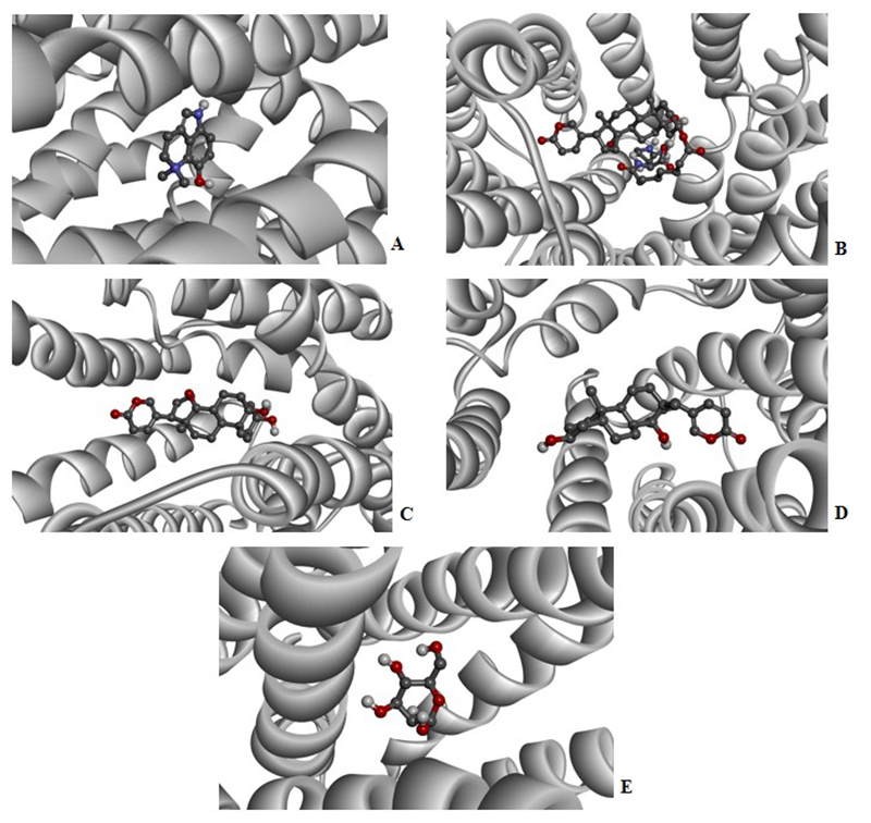 Figure 7.