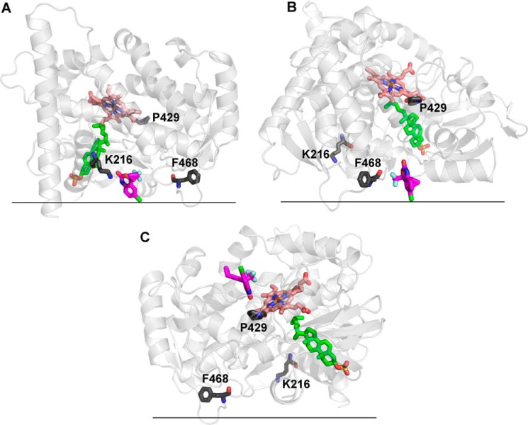 FIGURE 6.