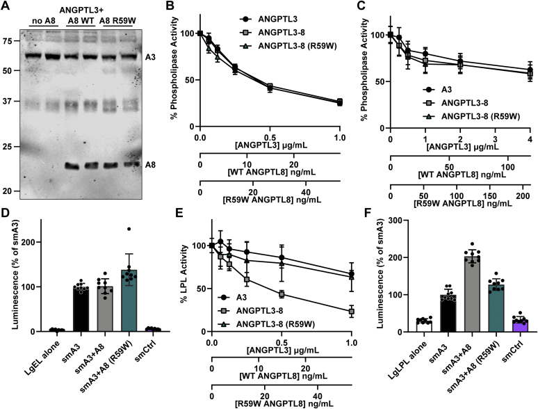 Fig. 6