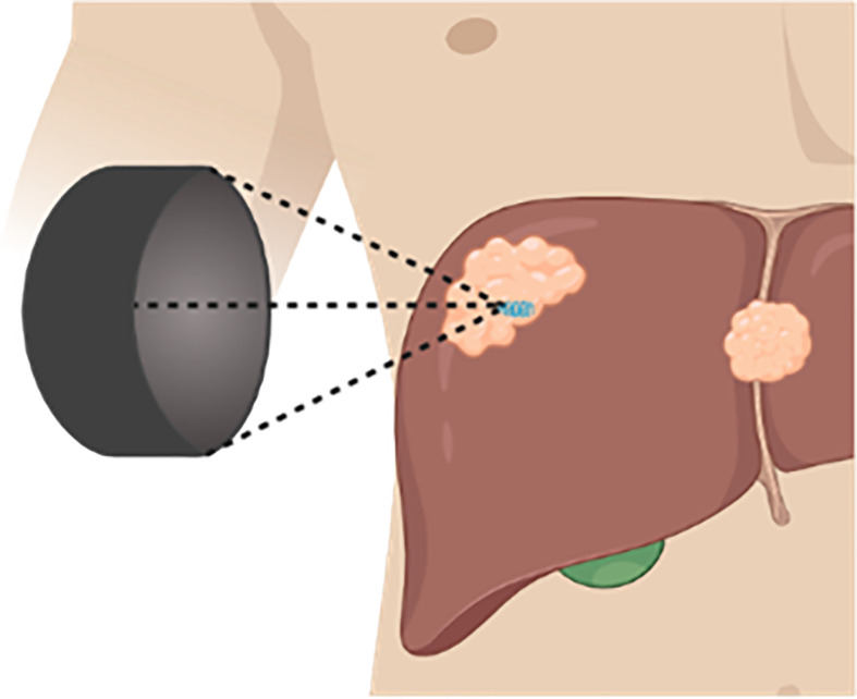 Figure 4