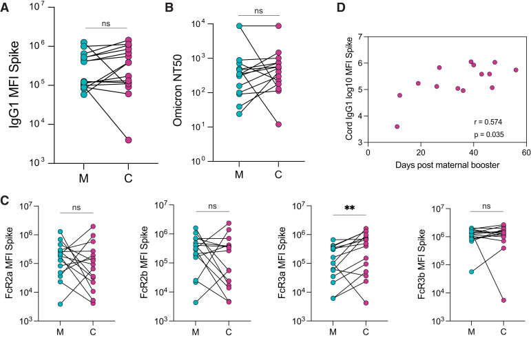 Figure 5