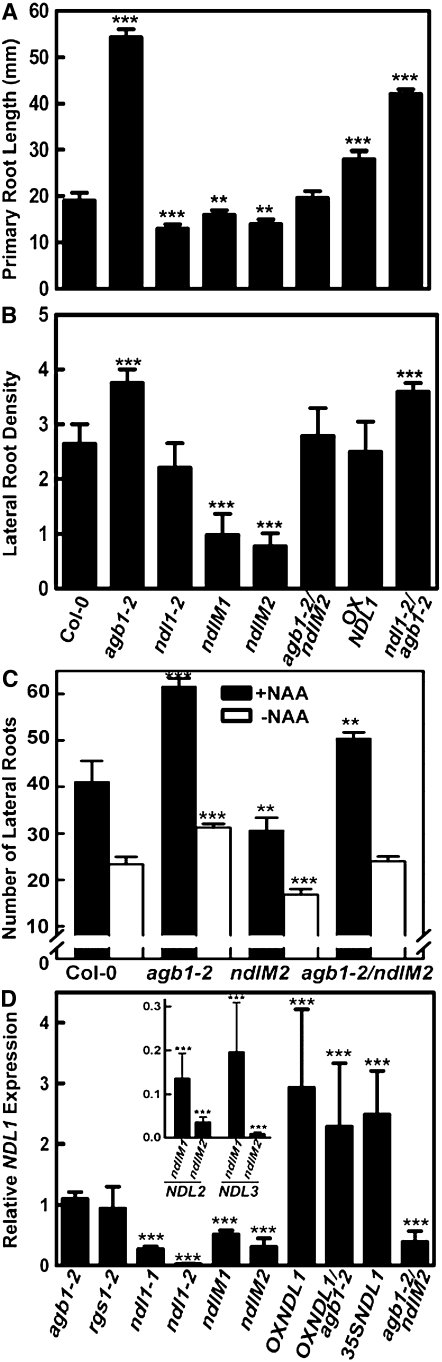 Figure 5.