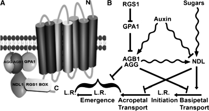 Figure 9.