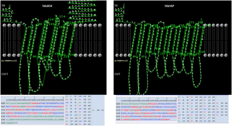 Figure 5