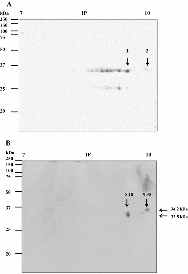 Figure 3