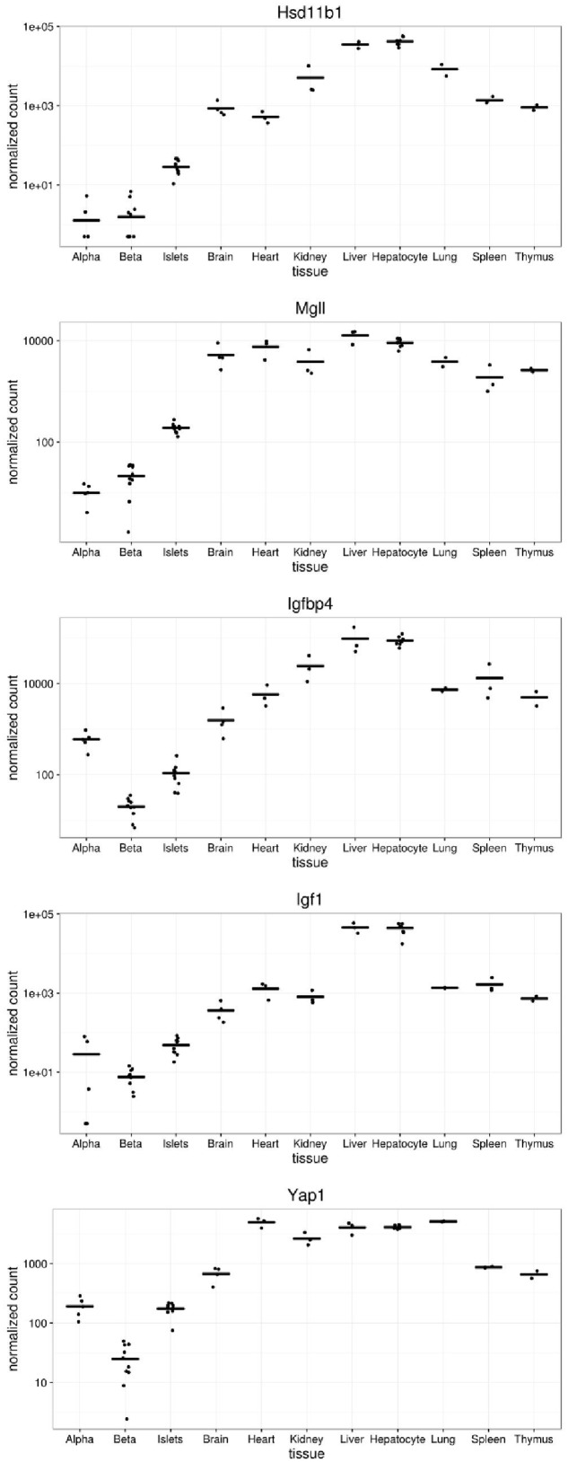 FIGURE 4