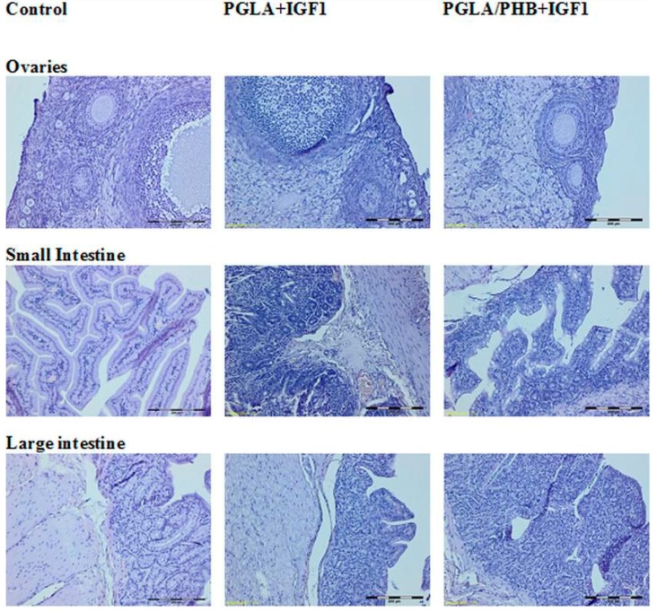 Figure 17