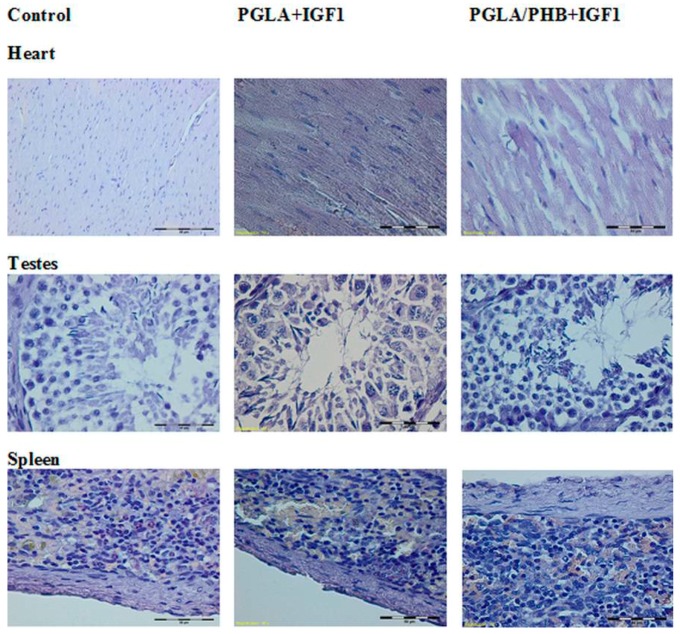 Figure 19