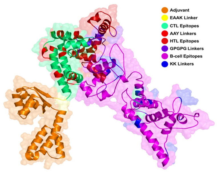 Figure 2