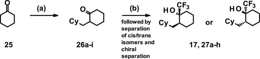 Scheme 2