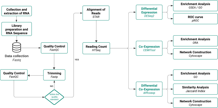 Figure 1