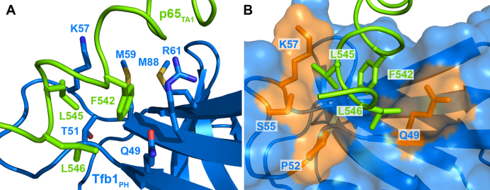 Figure 4.