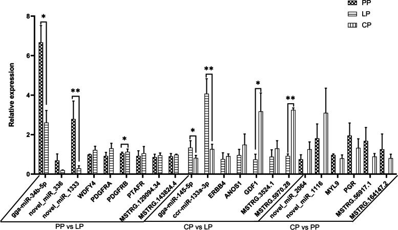 Fig. 13