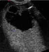 Fig. 5
