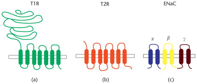 Fig. (1)