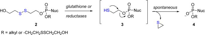 Scheme 2