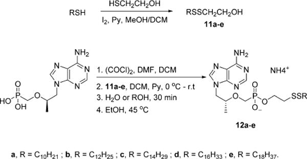 Scheme 4