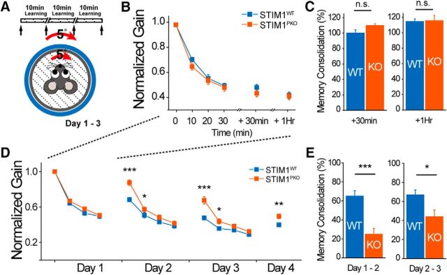 Figure 12.