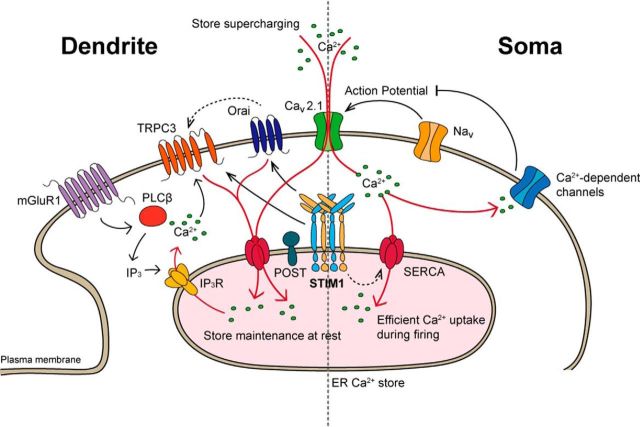 Figure 14.