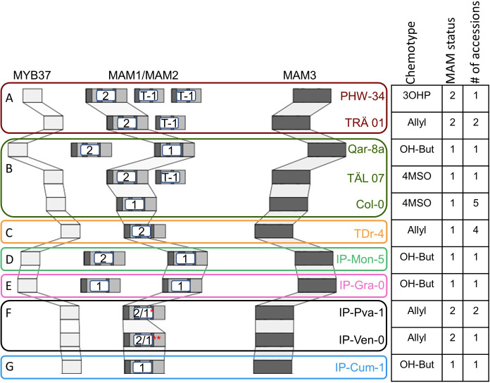 Figure 5—figure supplement 2.