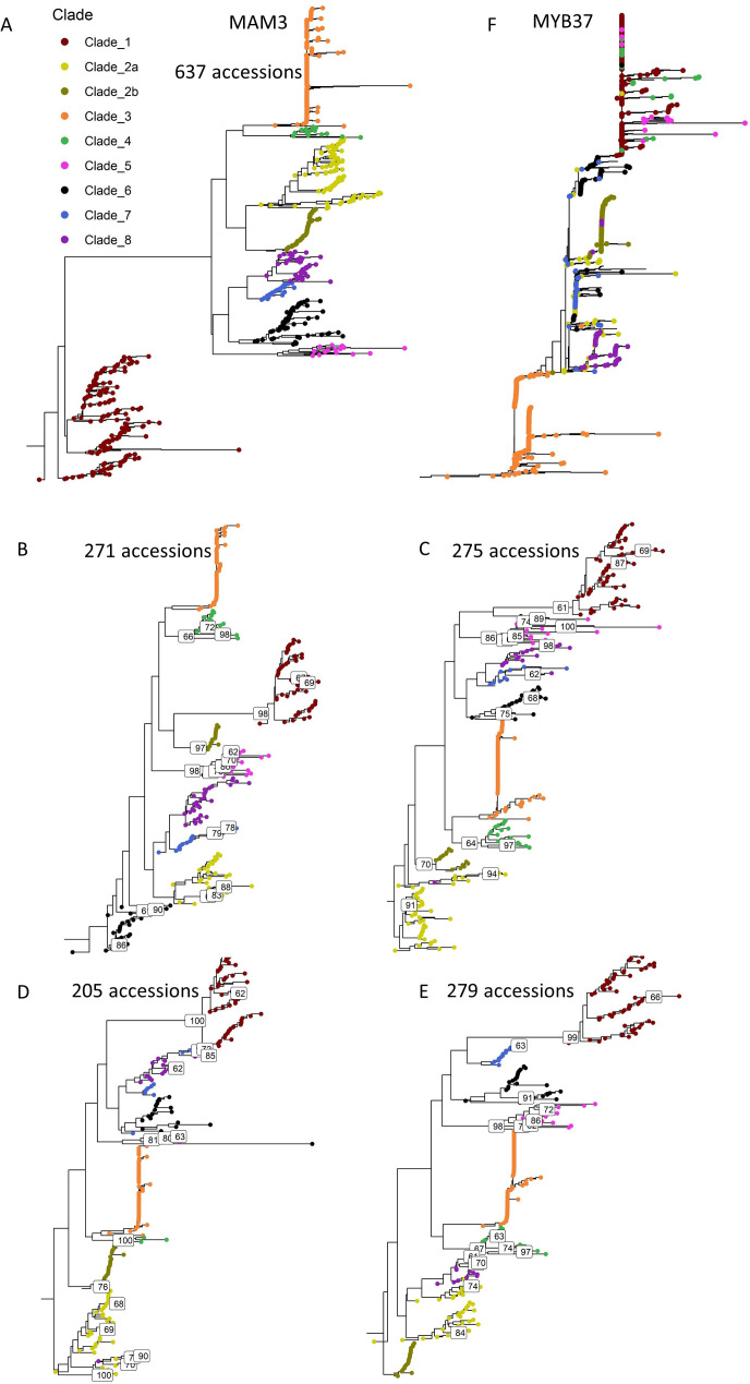 Figure 5—figure supplement 1.