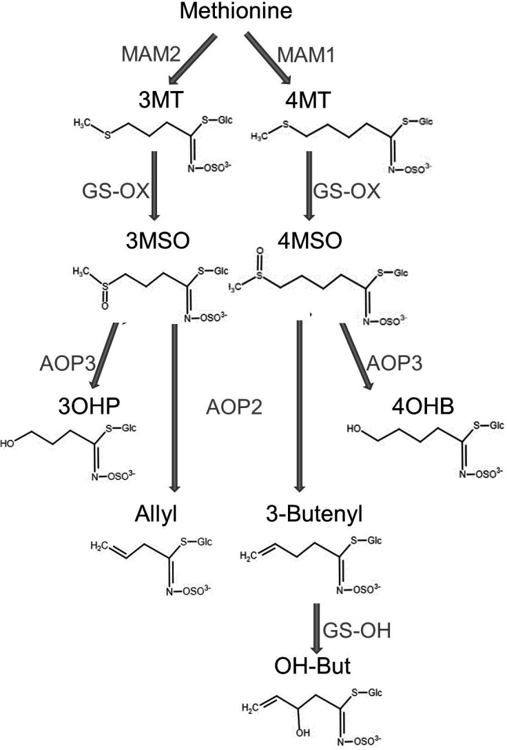 Figure 2.