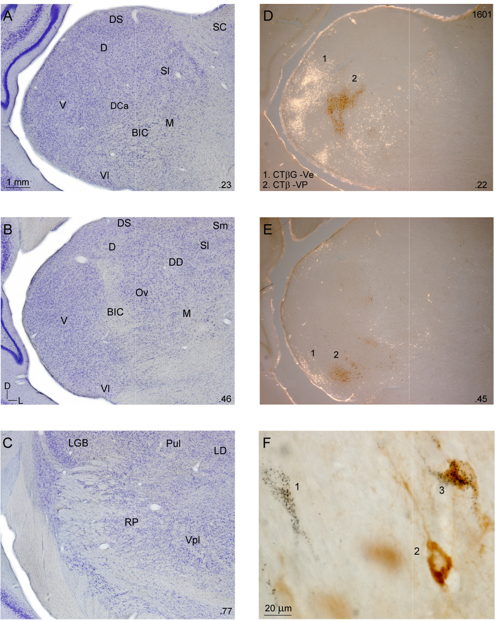 Fig. 3