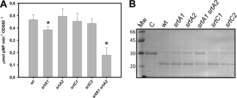 Fig 5