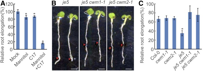 Figure 10.