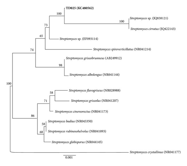 Figure 1