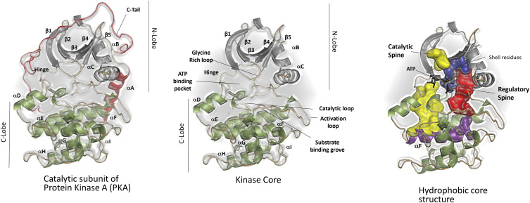 FIG. 5.