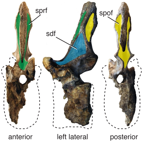 Figure 13