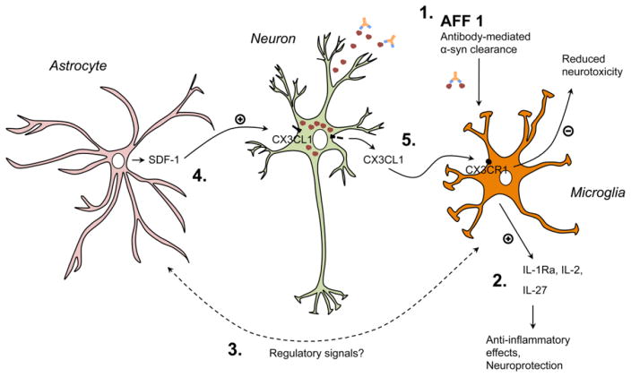 Fig. 11