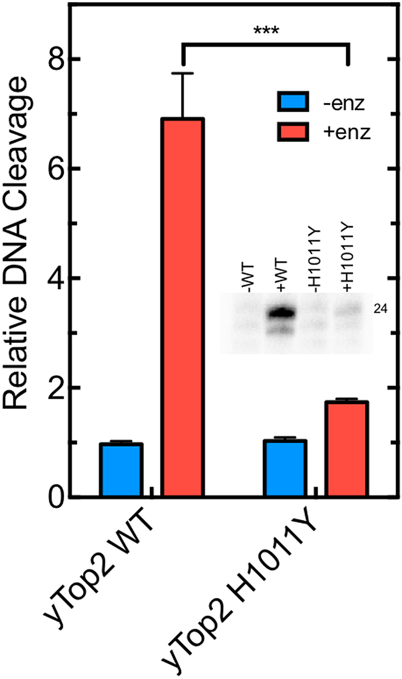 Figure 7.