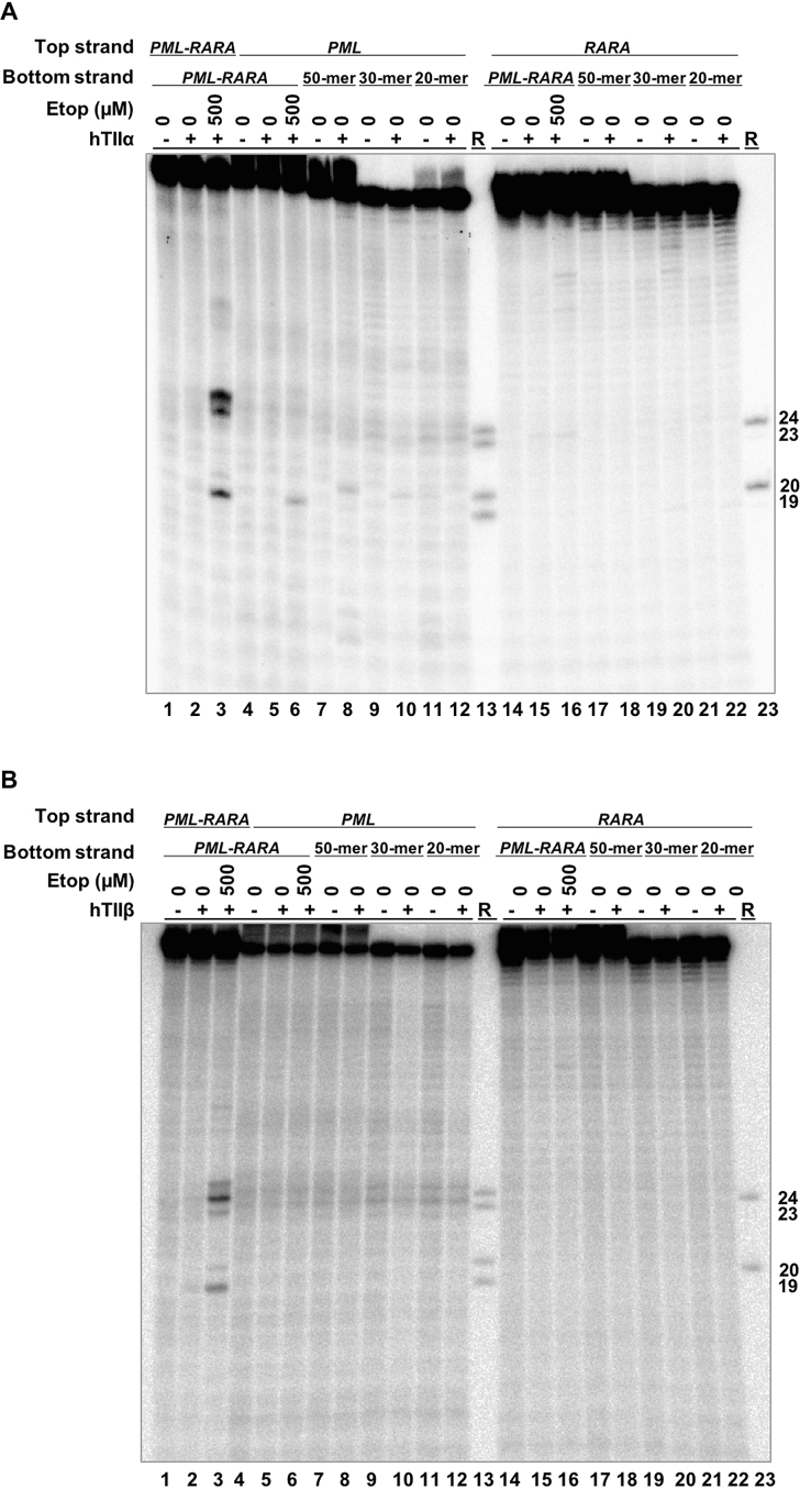 Figure 10.