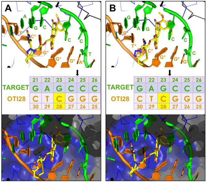 Figure 4.