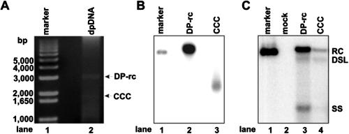 FIG. 6.